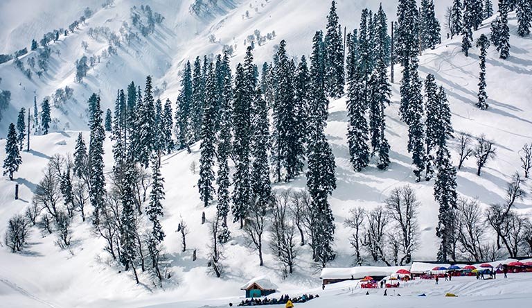 Kashmir & Ladakh Tour